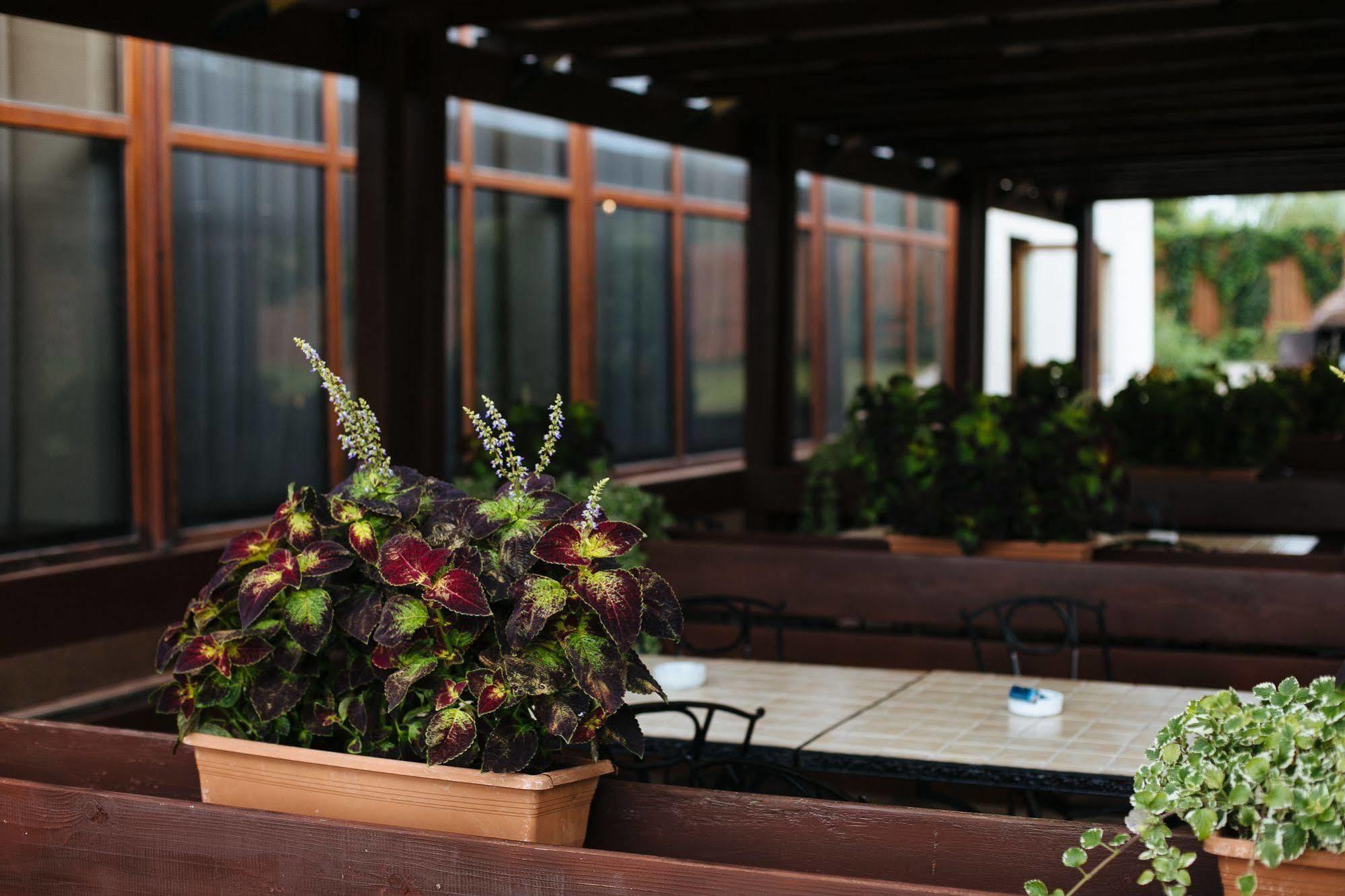 Hotel Phoenix Arad Exterior photo